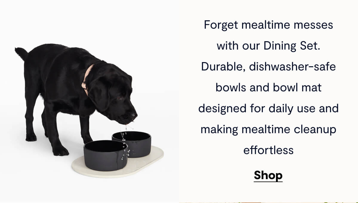 Forget mealtime messes with our durable, dishwasher-safe bowls, designed for daily use and making mealtime clean-up effortless.