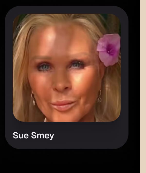 Sue Smey