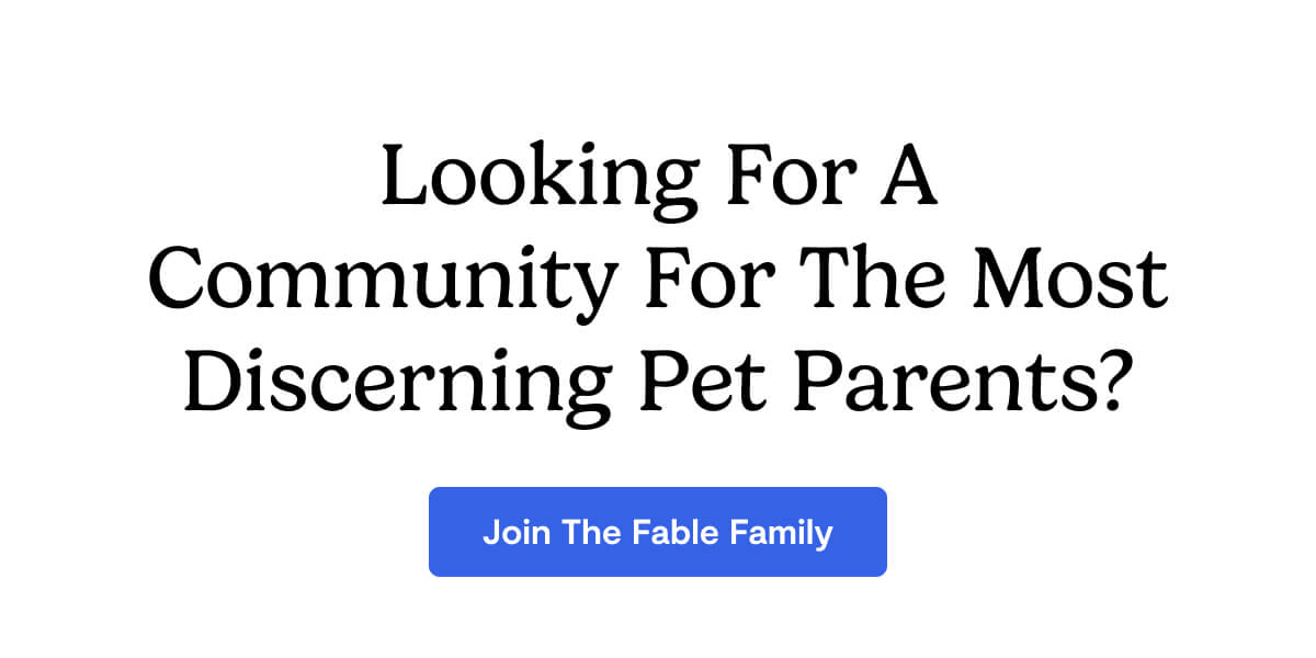 Join The Fable Family