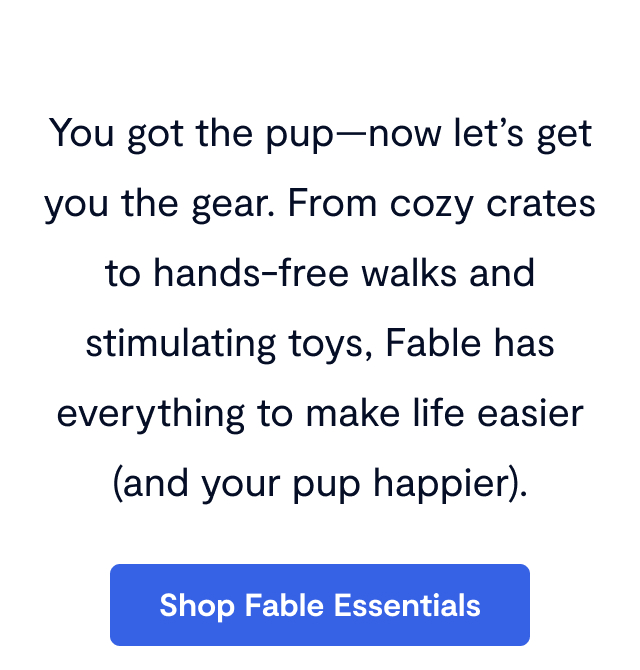 You got the pup—now let’s get you the gear. From cozy crates to hands-free walks and stimulating toys, Fable has everything to make life easier (and your pup happier).