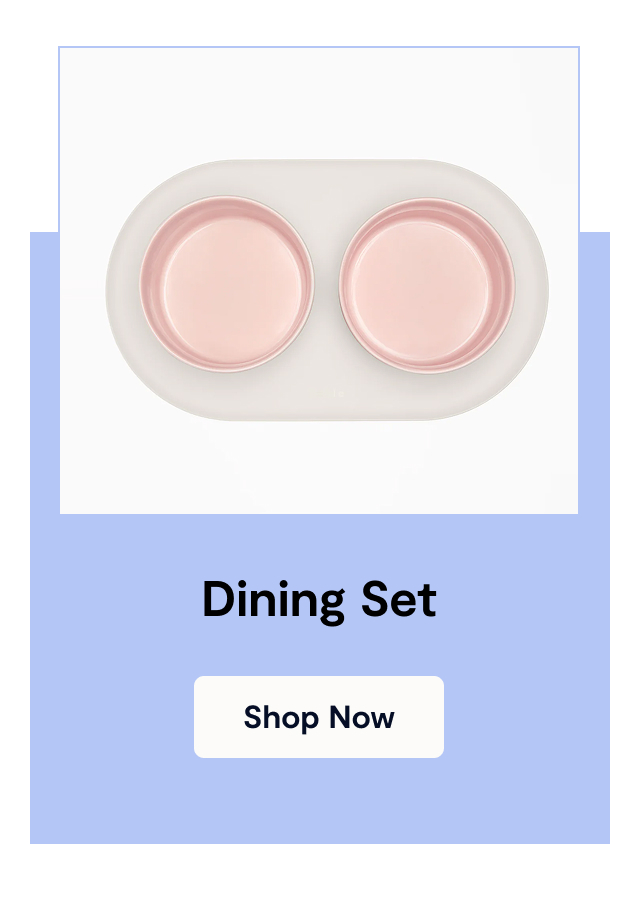 Dining Set