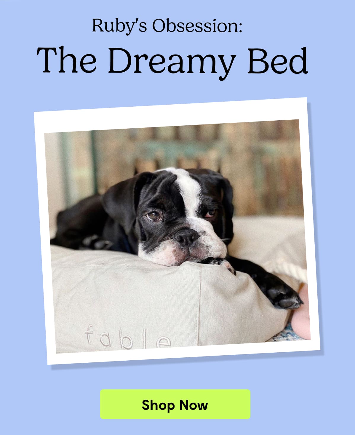 Ruby's Obsession: The Dreamy Bed