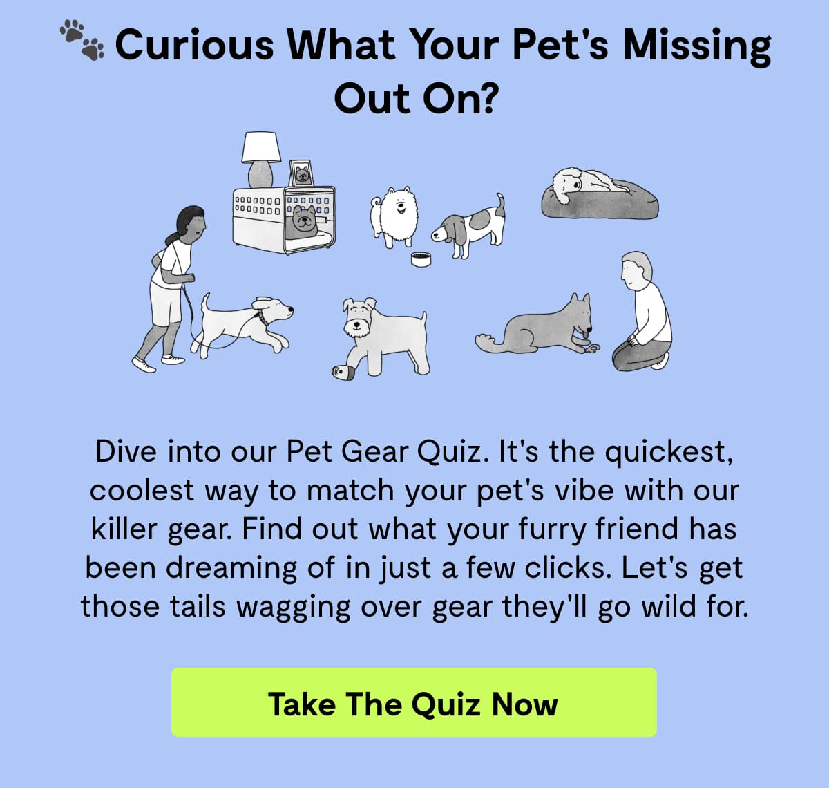 Dive into our Pet Gear Quiz. It's the quickest, coolest way to match your pet's vibe with our killer gear. Find out what your furry friend has been dreaming of in just a few clicks. Let's get those tails wagging over gear they'll go wild for.