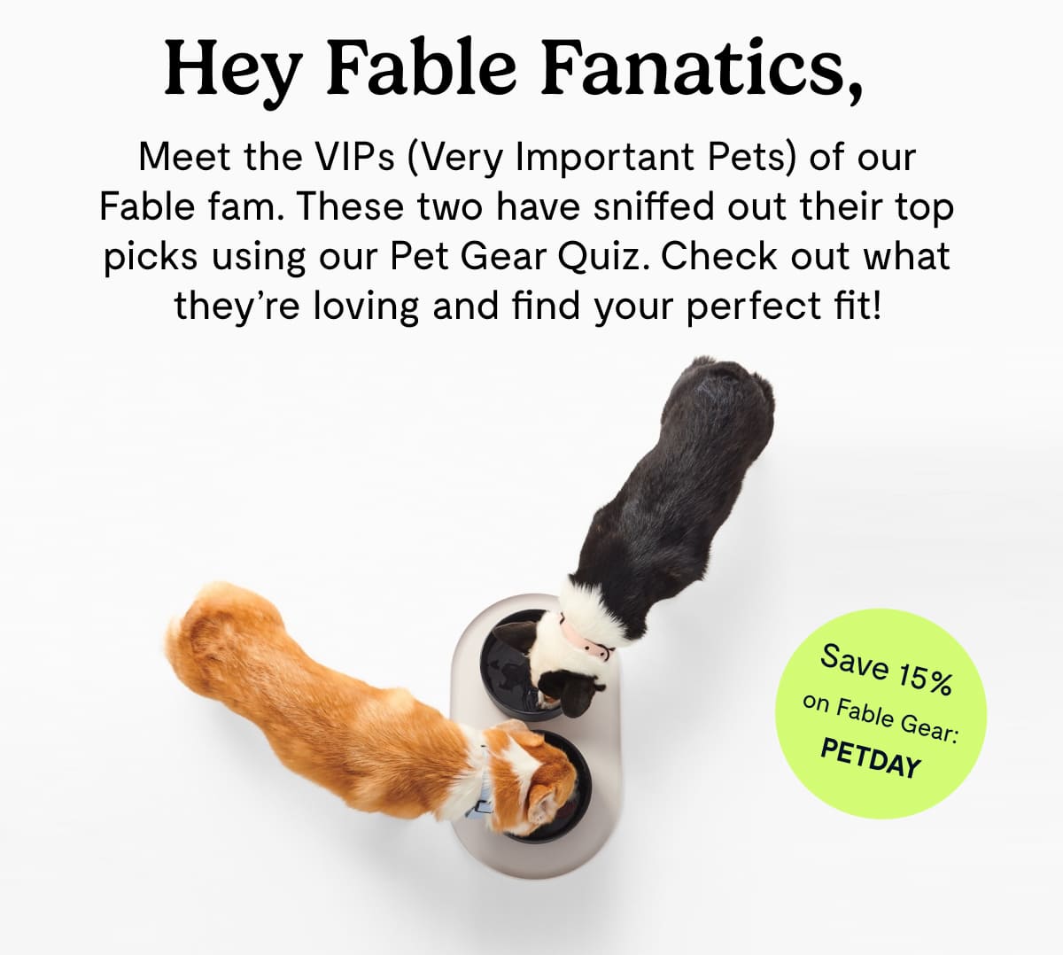 Meet the VIPs (Very Important Pets) of our Fable fam. These two have sniffed out their top picks using our Pet Gear Quiz. Check out what they’re loving and find your perfect fit!