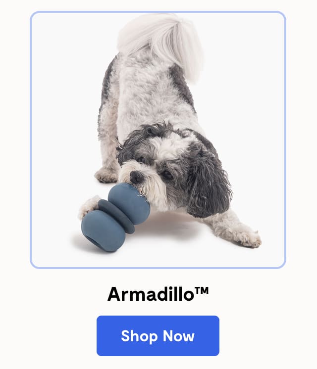 Armadillo
