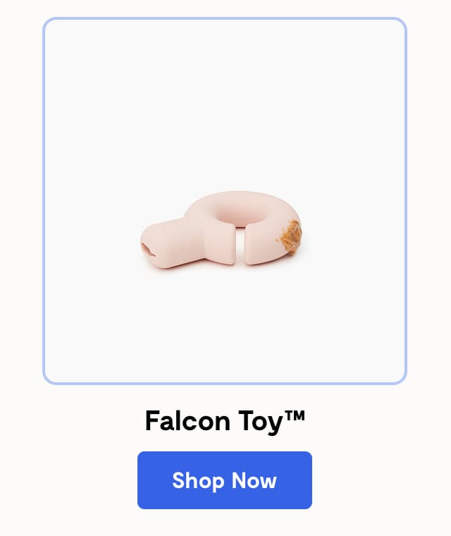 Falcon Toy