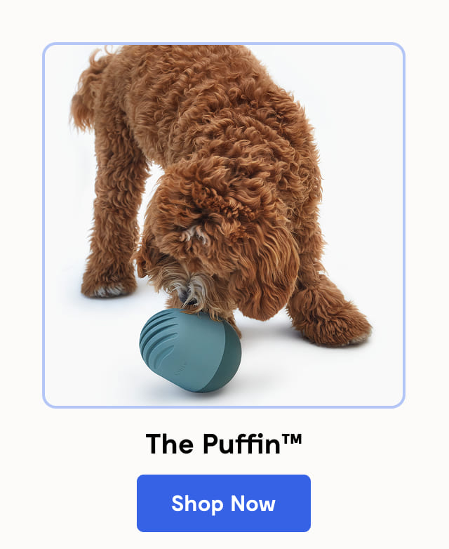 The Puffin