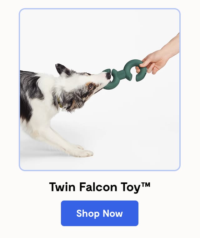 Twin Falcon Toy