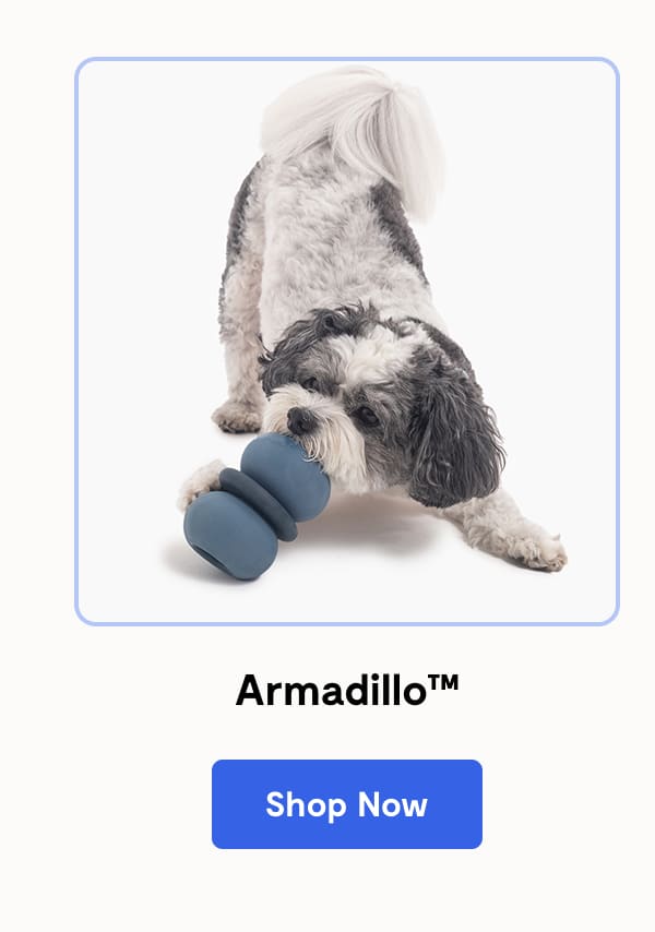 Armadillo