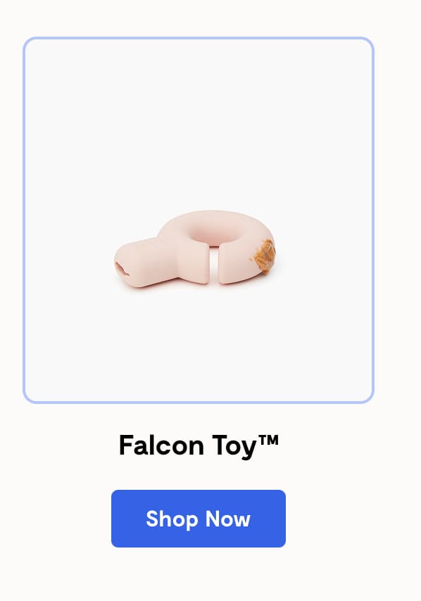 Falcon Toy