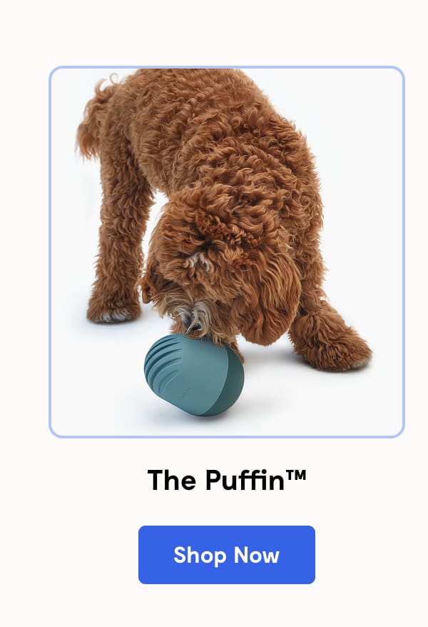The Puffin