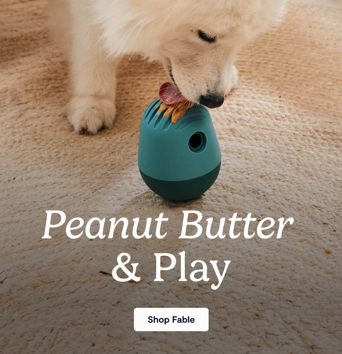Peanut Butter & Play