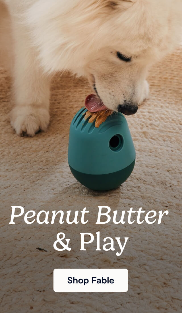 Peanut Butter & Play