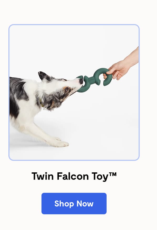 Twin Falcon Toy