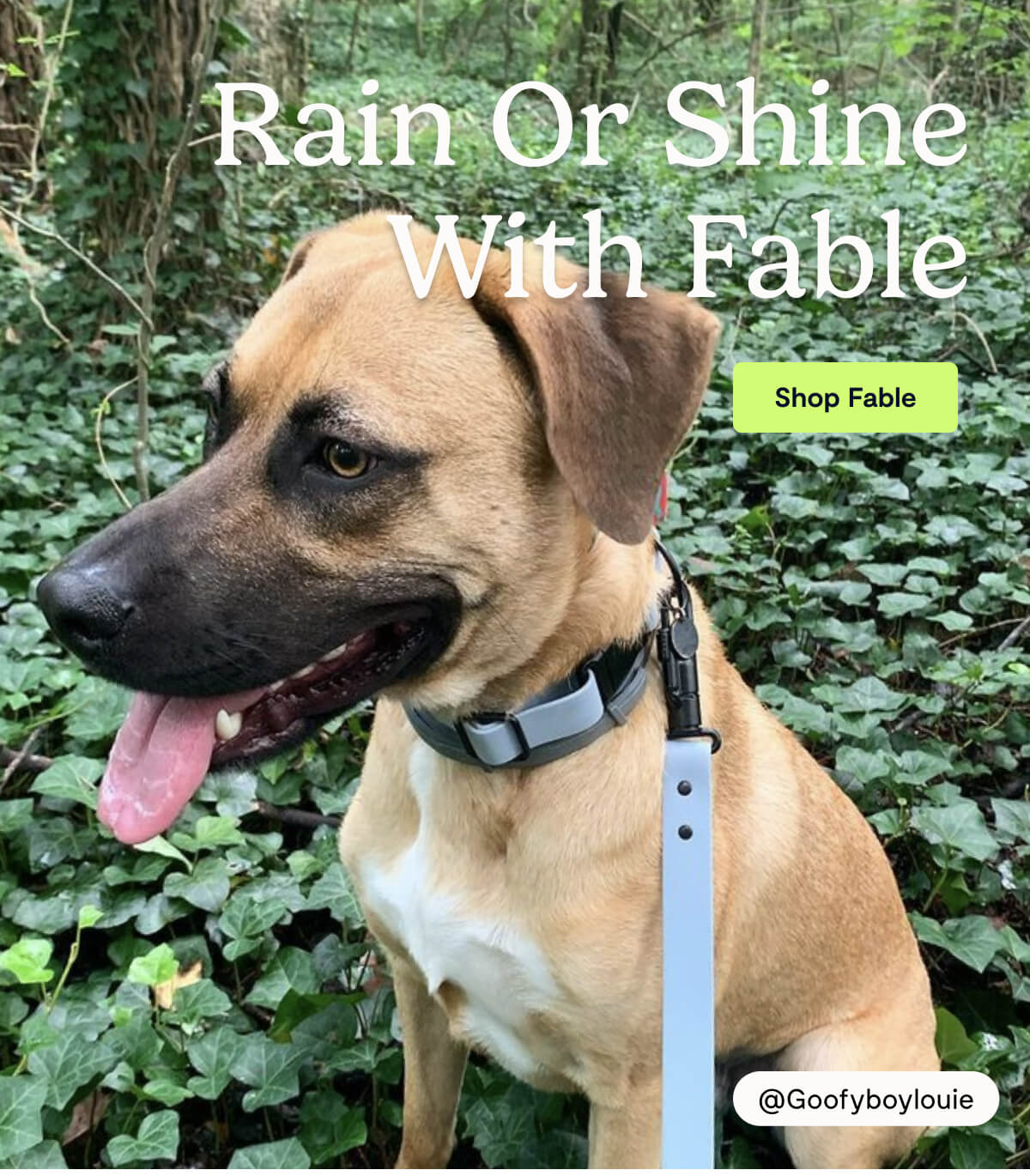 Rain or Shine with Fable