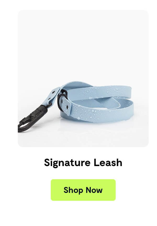 Signature Leash