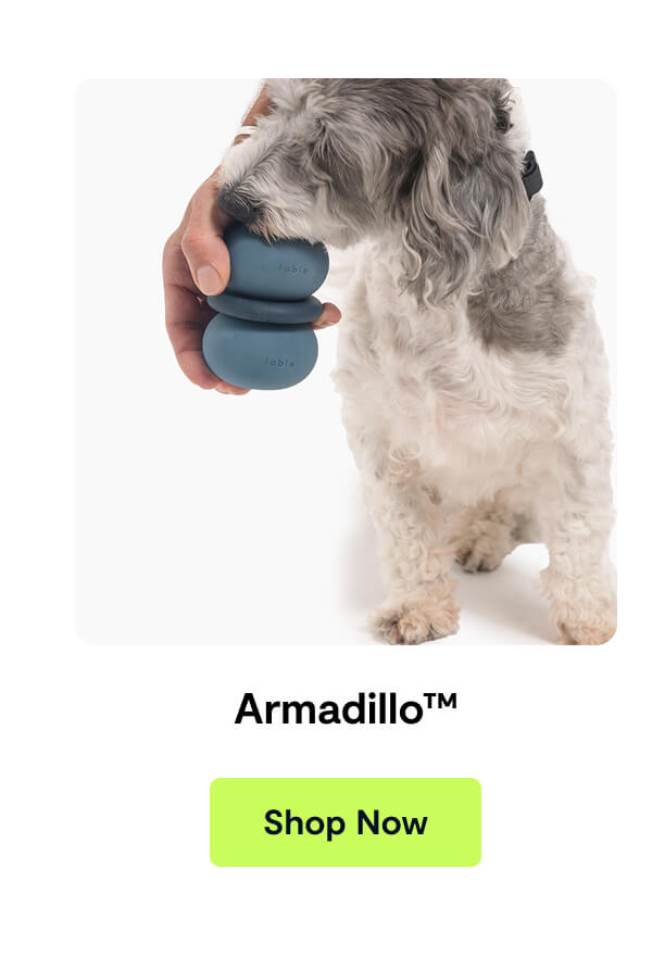 Armadillo™