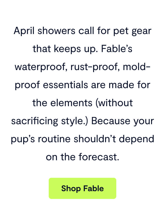 April showers call for pet gear that keeps up. Fable’s waterproof, rust-proof, mold-proof essentials are made for the elements (without sacrificing style.) Because your pup’s routine shouldn’t depend on the forecast.