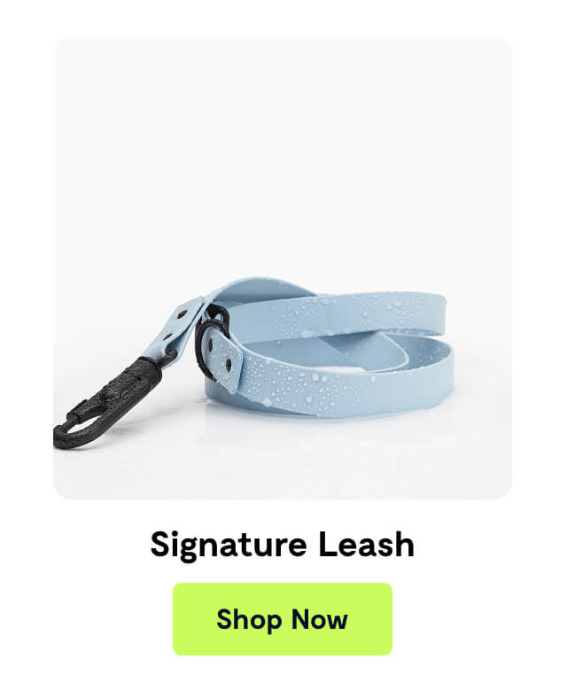 Signature Leash