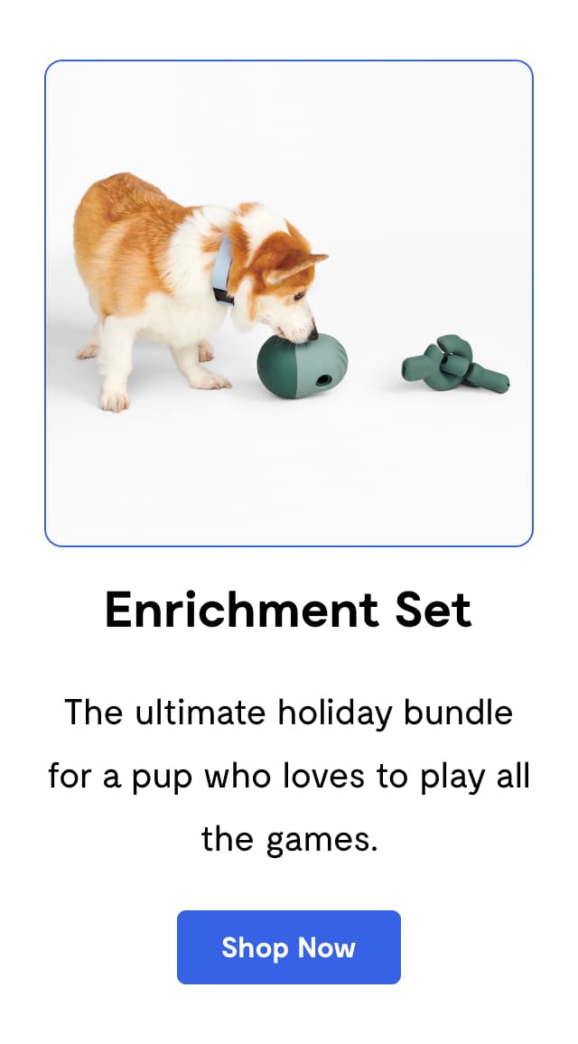 The Enrichment Set